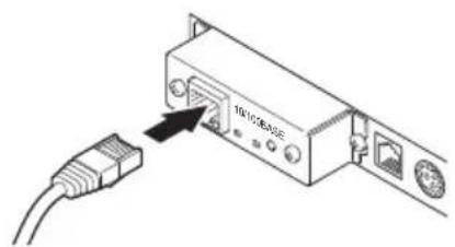 CITIZEN CTS851II - Conexión de los cables de interfaz - 5