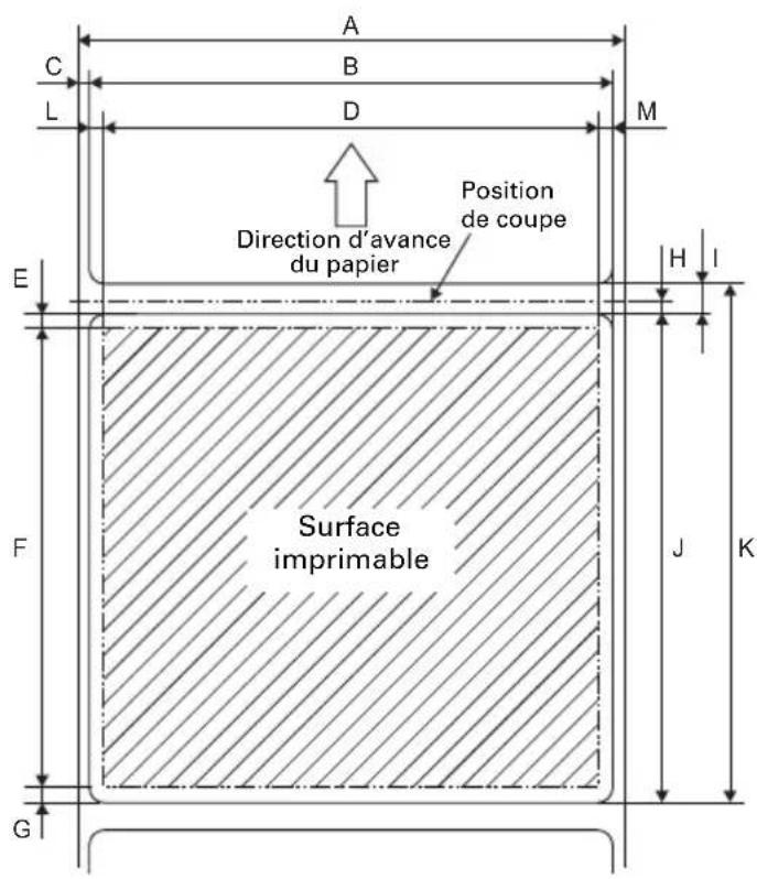 CITIZEN CTS801II - b) Papier pour étiquettes - 1