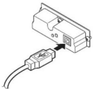 CITIZEN CTS801II - Branchement des câbles d'interface - 3