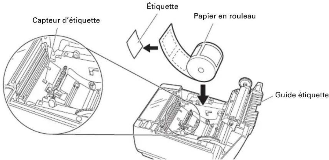 CITIZEN CTS801II - Pour charger le papier pour étiquettes - 2
