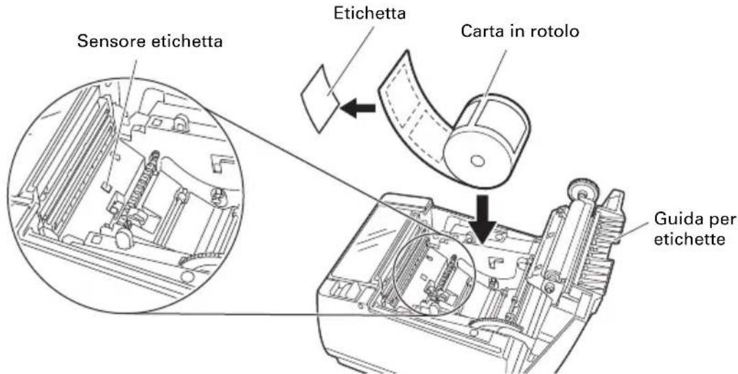 CITIZEN CTS801II - Per caricare carta d'etichetta - 2