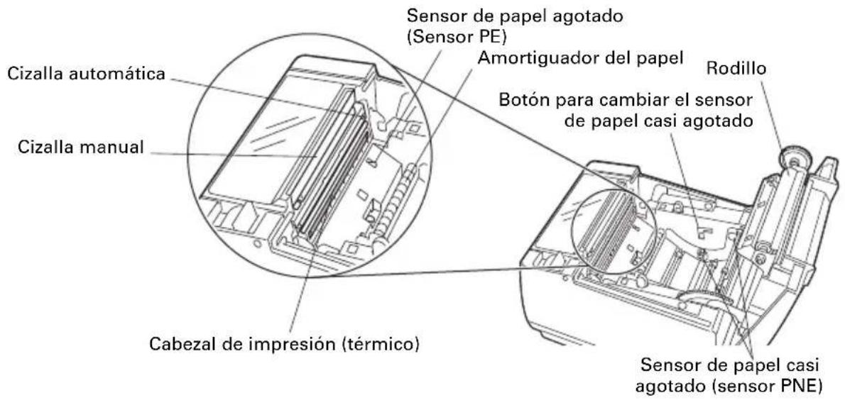 CITIZEN CTS801II - Interior de la tapa del papel - 1