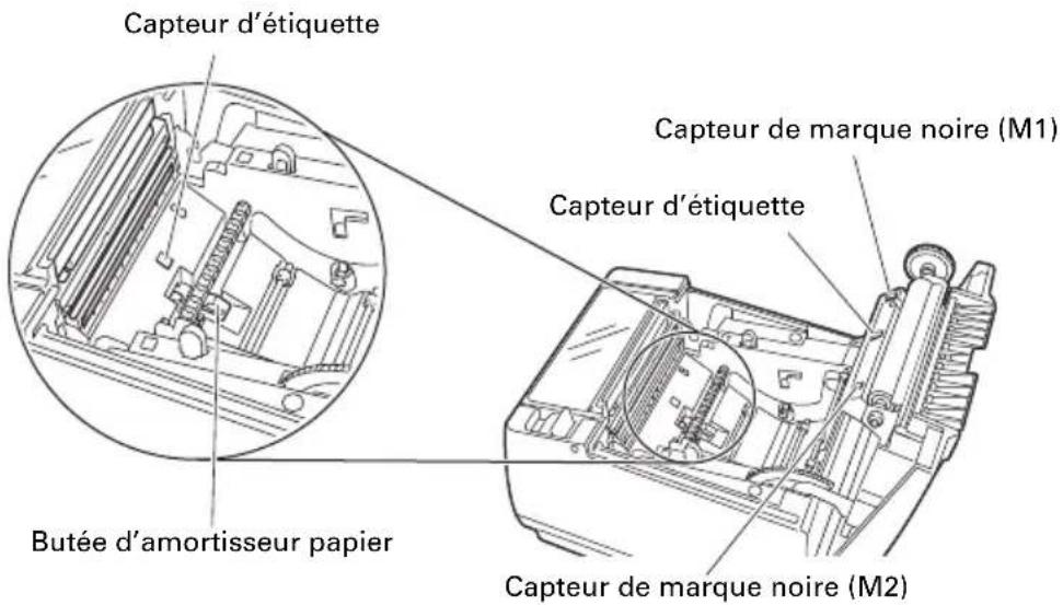 CITIZEN CTS801II - À l'intérieur du capot papier - 4