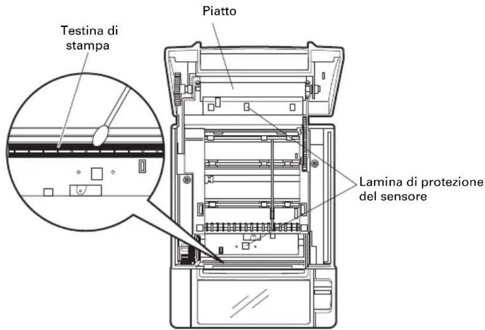 CITIZEN CTS801II - Pulizia periodica - 1