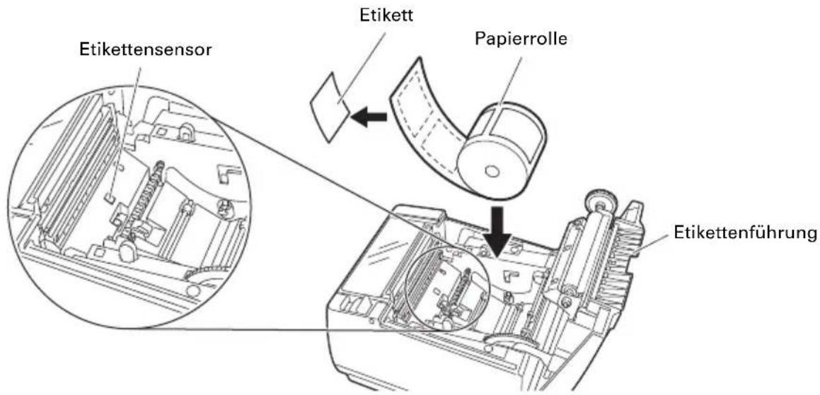 CITIZEN CTS801II - Eitikettenpapier einlegen - 2