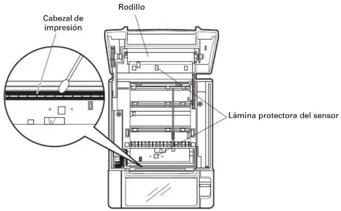 CITIZEN CTS801II - Limpieza periódica - 1