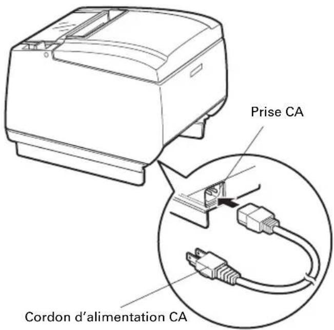 CITIZEN CTS801II - Branchement du cordon d'alimentation CA - 1