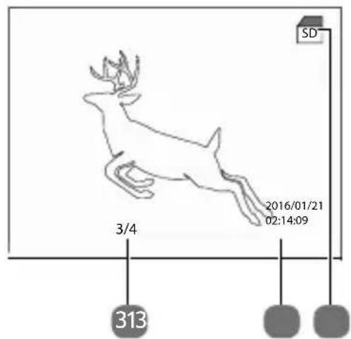 MEDION S47087 - Display-Anzeigen im Wiedergabe-Modus - 3