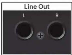 PRESONUS EarMix 16M - Connexions de la face arrière - 2