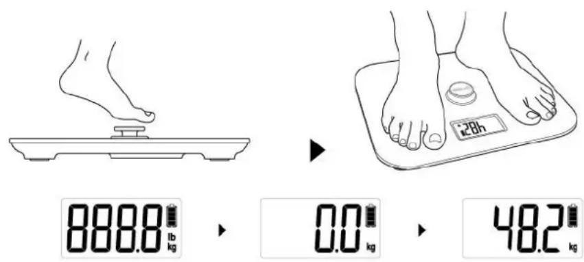 CASO Body Energy - Energieversorgung - 1