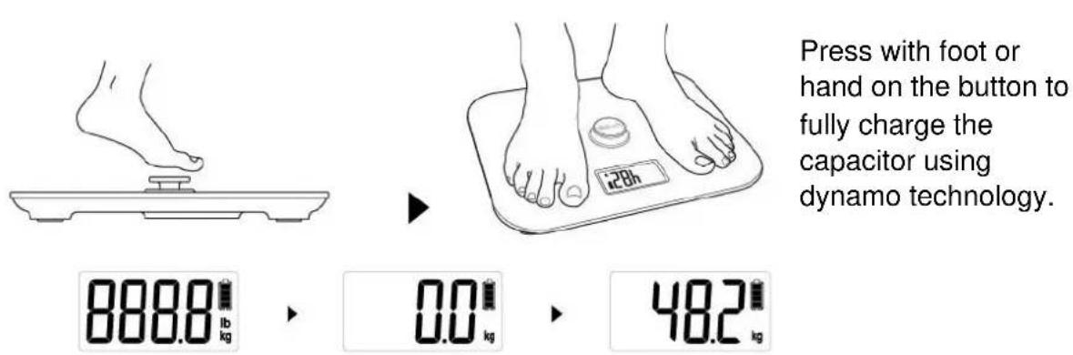 CASO Body Energy - Power supply - 1