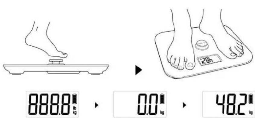 CASO Body Energy - Alimentación de energía - 1
