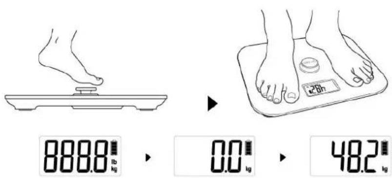CASO Body Energy - Примечание - 1