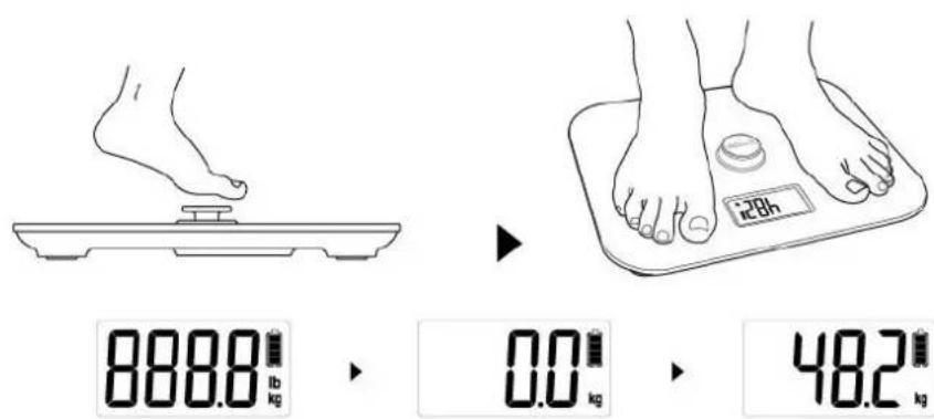CASO Body Energy - Alimentazione elettrica - 1