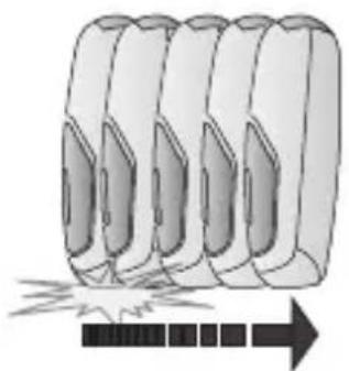 SANITAS IPL 80 - Application method 1 "flash-glide function": - 1