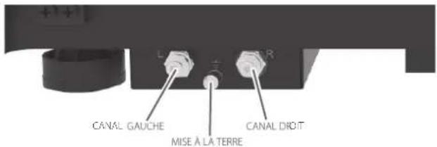 NAD C 558 - BRANCHEMENT DE LA SORTIE DU BRAS - 1