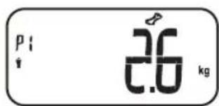 TERRAILLON Scan Chestnut - TERRAILLON BODY FAT SCALE - INSTRUCTION MANUAL - 4
