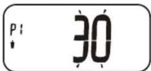 TERRAILLON Scan Chestnut - MODE D'EMPLOI - 4