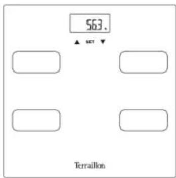 TERRAILLON Scan Chestnut - BESCHRIJVING VAN HET PRODUCT - 1