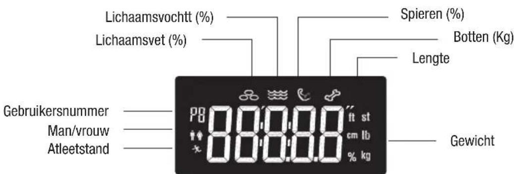 TERRAILLON Scan Chestnut - BESCHRIJVING VAN HET PRODUCT - 2