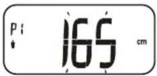 TERRAILLON Scan Chestnut - INSTRUCCIONES DE USO - 3