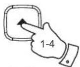 ROBERTS R100 - Radio internet - 2