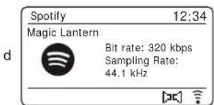 ROBERTS R100 - Modes d'affichage - spotify connect - 1
