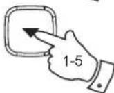 ROBERTS R100 - Information - 3