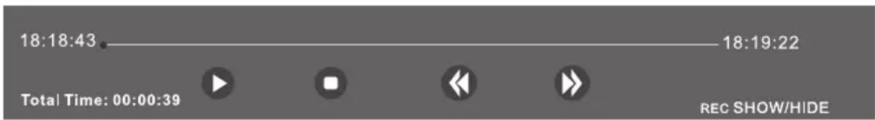 TESLA 43S367BFS - Regjistrimi Instant dhe Playback - 1