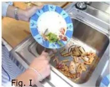 BARAZZA 1DSEC1 - PRECAUCIONES: - 1