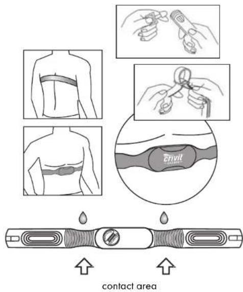 CRIVIT 1LD36043 - Wearing the chest belt - 1