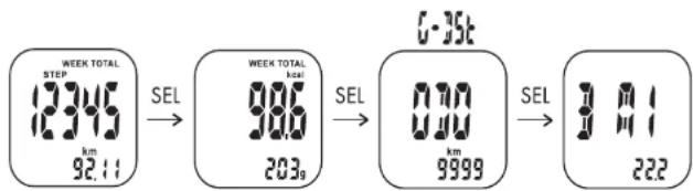 CRIVIT 1LD4878 - Celkoviulozeni v pameti/Total memory (14 dnu) - 1