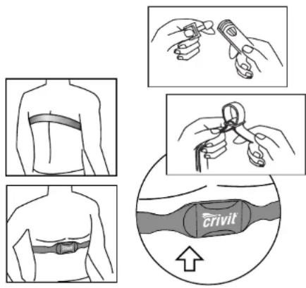 CRIVIT 1LD4878 - Port de la ceinture thoracique - 2