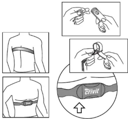 CRIVIT 1LD4878 - Tragen des Brustgurts - 2