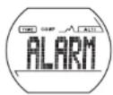 CRIVIT 1LD4657 - Alarm (ALARM) - 1