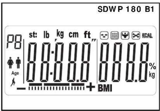 SILVERCREST SDWP 180 A1+ B1 - Indications on the display - 2