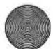 SILVERCREST SHBSP 800 A1 - Dodavatel - 2