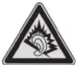 SILVERCREST SWE 100 B1 - Danger Through Noise Disturbance - 1