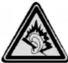 SILVERCREST SWE 100 B1 - Pericoli derivanti dall'inquinamento acustico - 1
