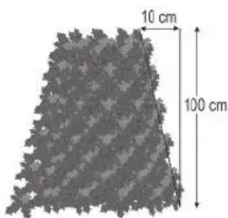 FLORABEST FAH 18 C4 - Cutting Shaped Hedges: - 1
