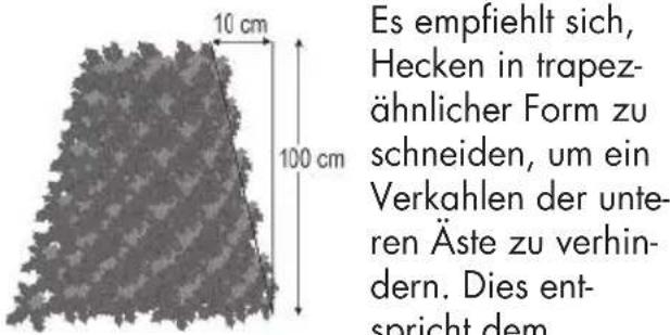 FLORABEST FAH 18 C4 - Schnitthecken schneiden: - 1