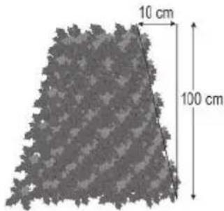 FLORABEST FAH 18 C4 - Poda de setos para poder: - 1