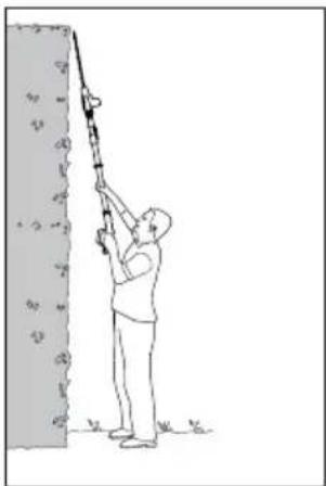 FLORABEST FALHS 18 A1 - REMARQUE - 3