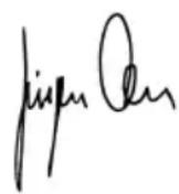 BTI WKS 115 V - Declaration of Conformity (C) - 1