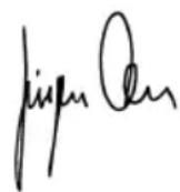 BTI WKS 115 V - Declaración de conformidad (€ - 1