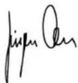 BTI WKS 115 V - Dichiarazione di conformità C - 1