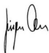 BTI WKS 115 V - 3aBHeHne o COOTBeTCTBn - 1