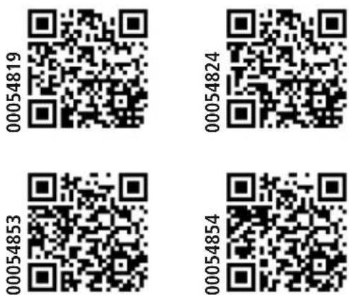 HAMA DIR3115MS - Declaración de conformidad - 1