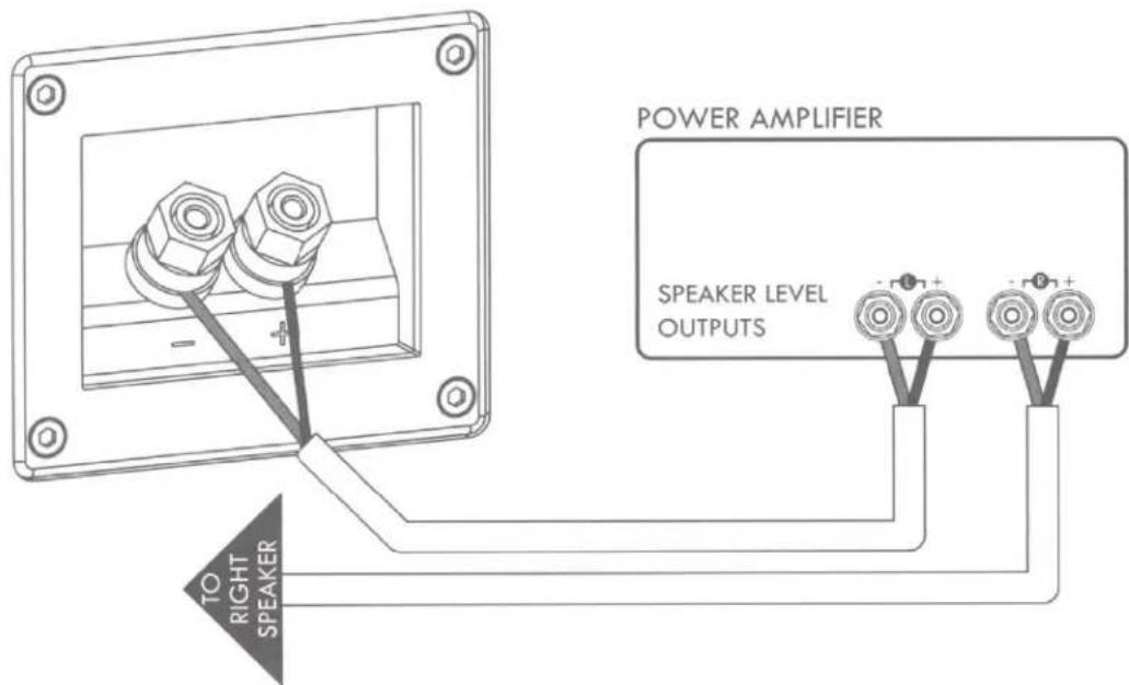 SVS Prime Center - Connecting Your Speakers - 1