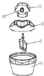 DOMOCLIP DOP145J - Noce d'ulisaon - 1
